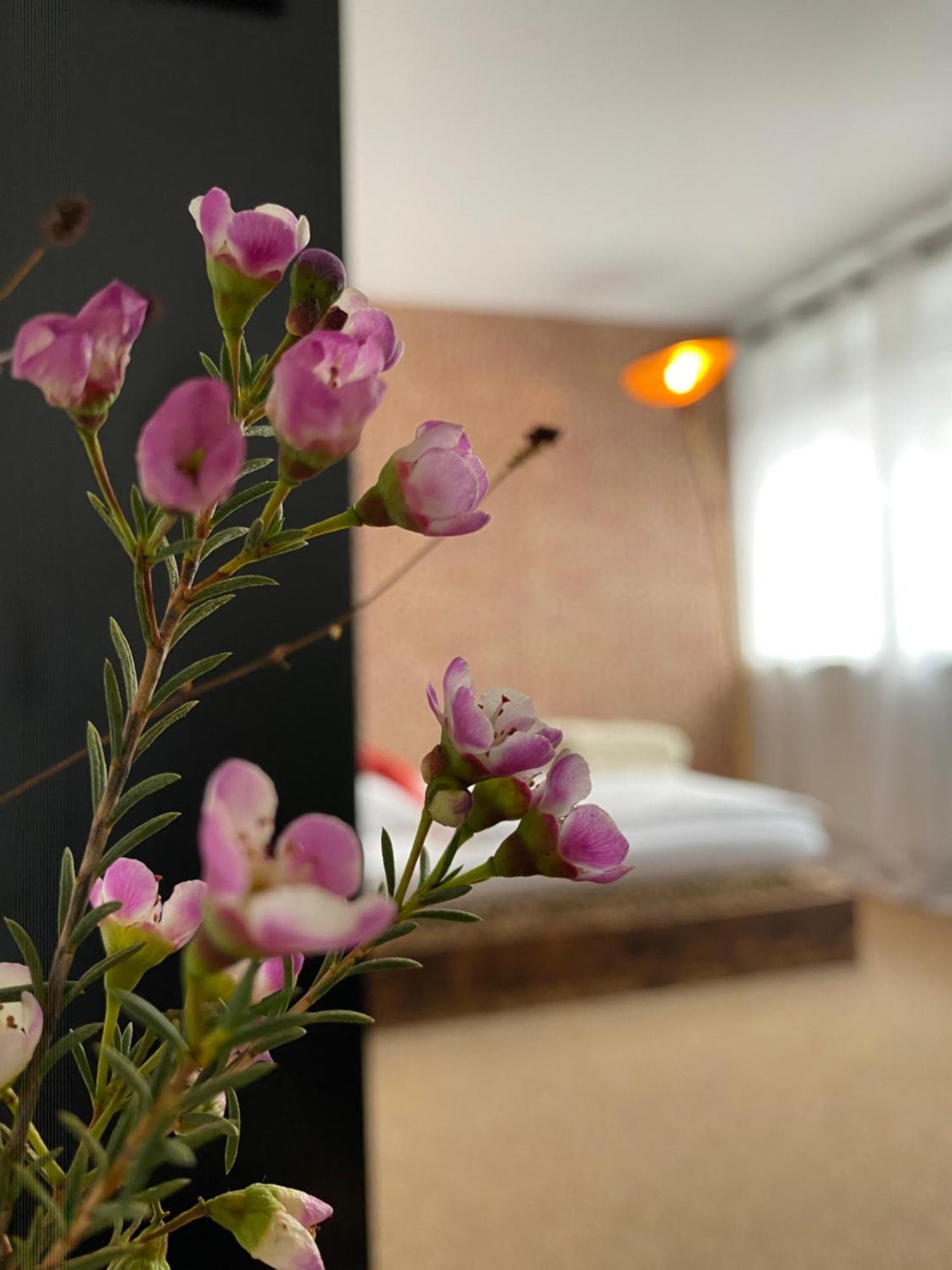 Privartzimmer 'Ausfahrt Freihalten' Husum  Bagian luar foto